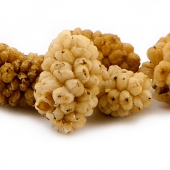 Dried Mulberries